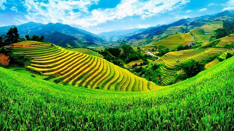 Choosing Vietnam for your family holiday - Why not ?