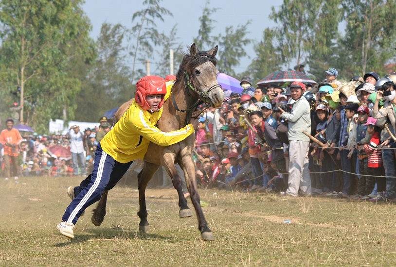 Horse race festival unique in Bac Ha Plateau will held in June next
