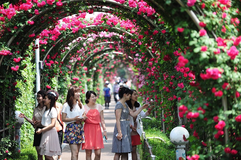  First Bulgarian Rose Festival in Vietnam will be held in Ha Noi