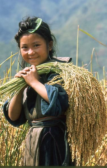  With only 15 photos to better understand the lives of the children upland in Sapa