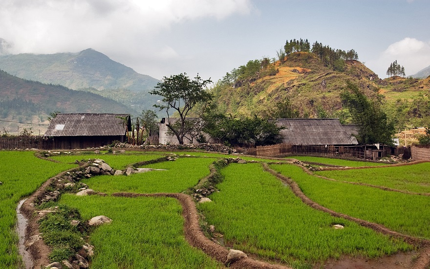 Homestay in Sapa – an awesome experience you should try