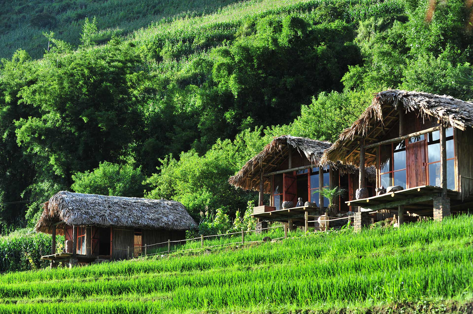 7 amazing homestay in Sapa you should try when coming to Sapa