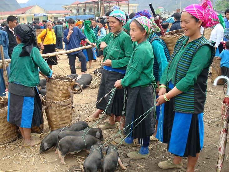 The appeal of colourful and interesting Markets in Sapa