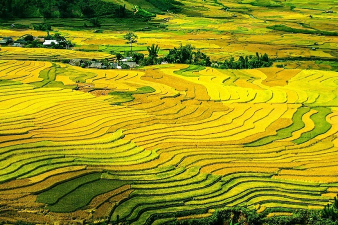Sapa – The best choice for your  holiday summer in Vietnam