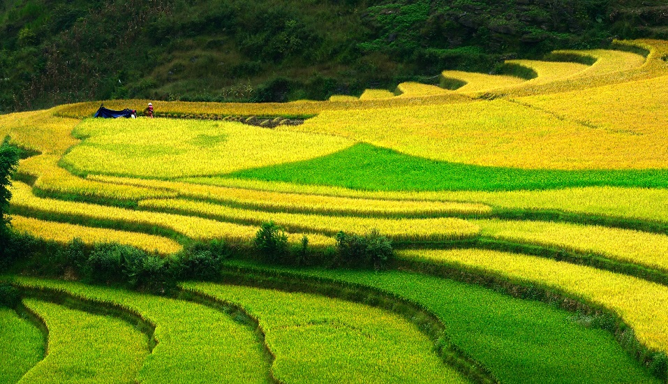 Why can say: Ha Giang beautiful year round ?