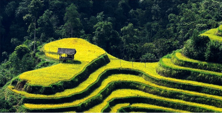 Terraced fields Hoang Su Phi - new national heritage of Vietnam