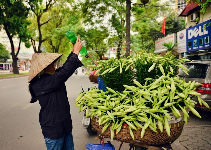 Travel to Hanoi in April you will see Madonna lily flowers on streets