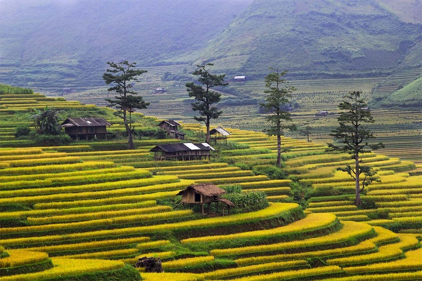 Top exciting experiences tourists should try when travelling to Vietnam