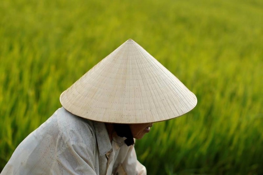 Non La – A traditional head wear of Vietnamese 