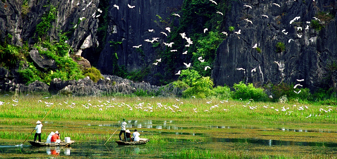 The best pictures about Van Long Natural Reserve make viewers want to come here immediately