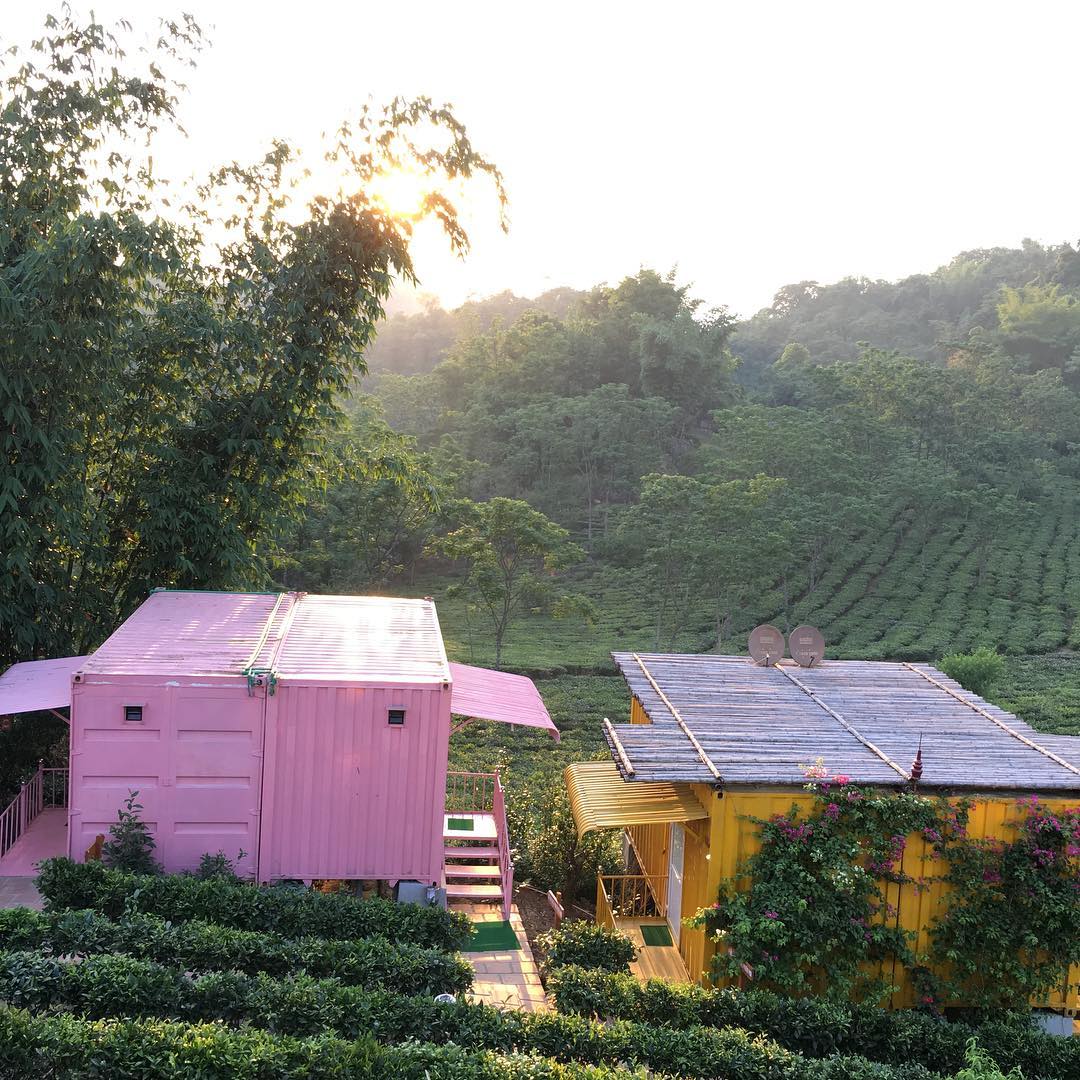 3 homestays in Moc Chau beautiful captivate visitors when coming here