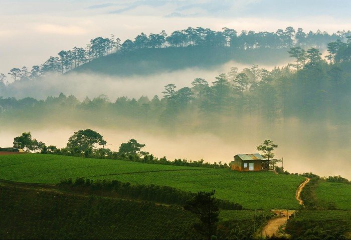Travel tips for Dalat, Vietnam from A to Z