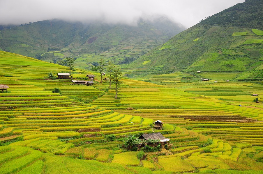 Popular places to visit in Mu Cang Chai, Vietnam