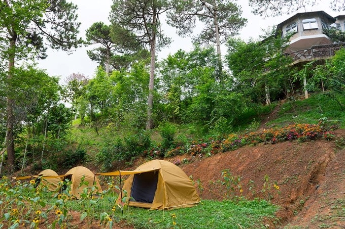Top 5 new points must to check-in right when come to Da Lat