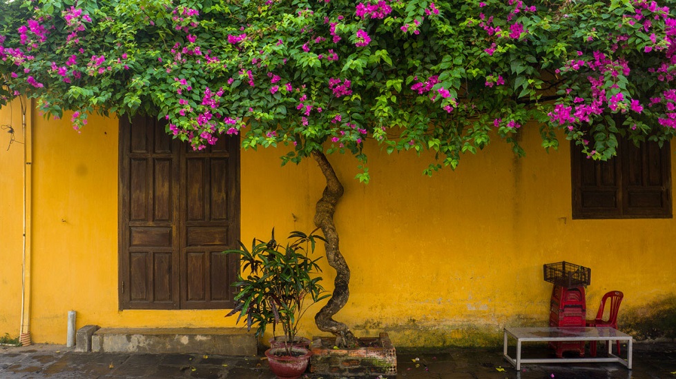 Hoi An Weather & The best time to travel Hoi An, Vietnam 