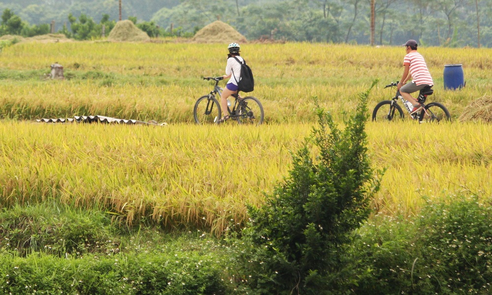 Where can you do a Hanoi bicycle tour ?