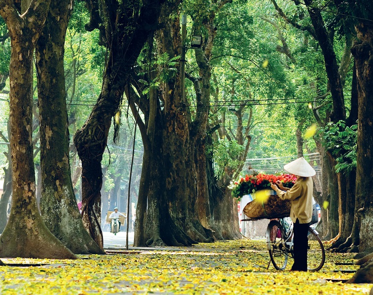 The Best Time Of Year To Visit Northern Vietnam