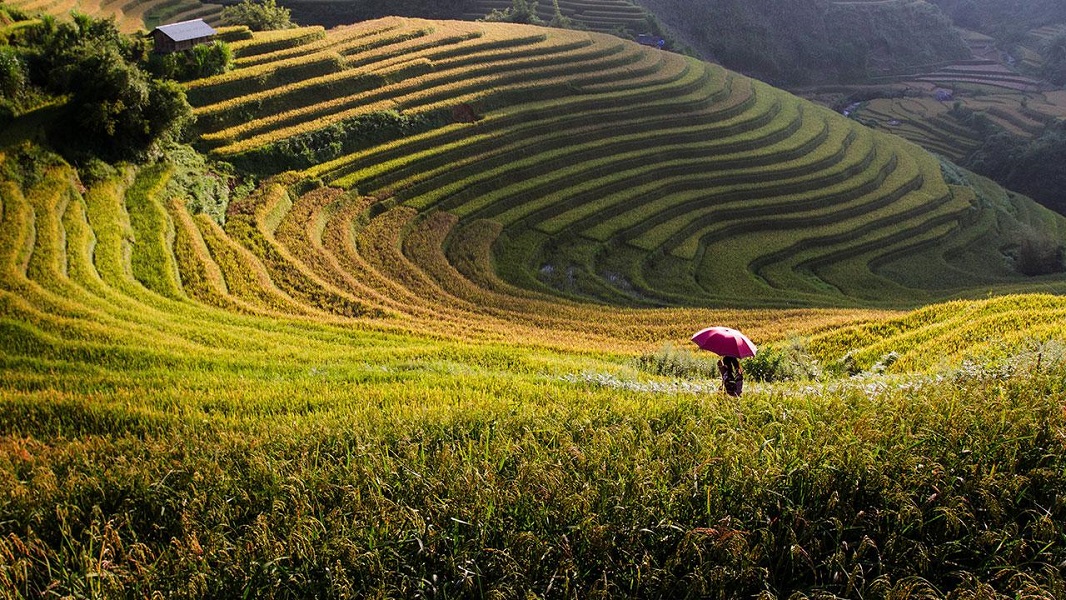 The Best Time Of Year To Visit Northern Vietnam