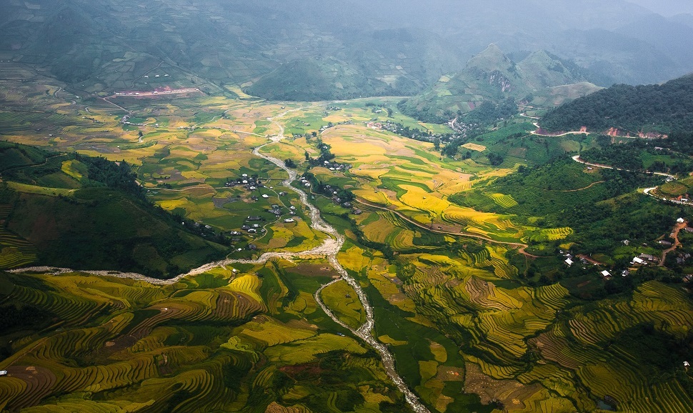  Tu Le Valley (Mu Cang Chai) boasts exceptionally beautiful rice fields at harvest time