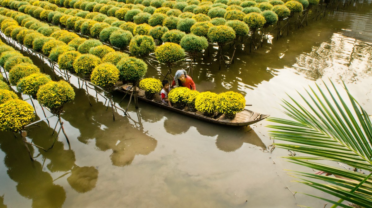 Watching Vietnam's beauty through 10 photos
