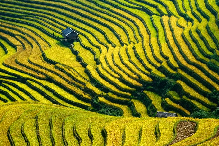 Mountainous North of Vietnam - paradise for watching beautiful terraced rice fields