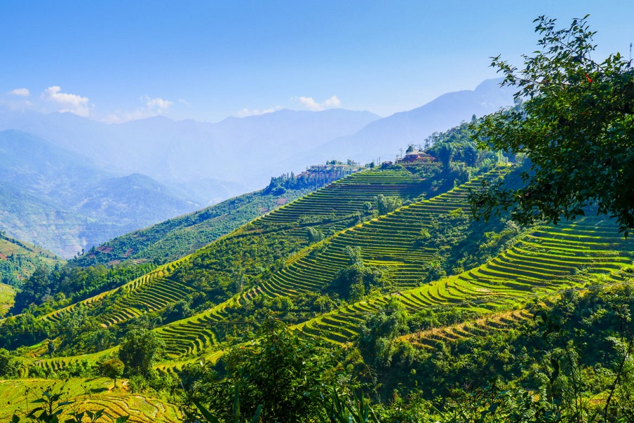 Mountainous North of Vietnam - paradise for watching beautiful terraced rice fields