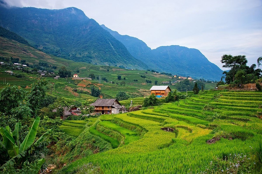 Y Linh Ho village - the tranquil village of the Black H’Mong