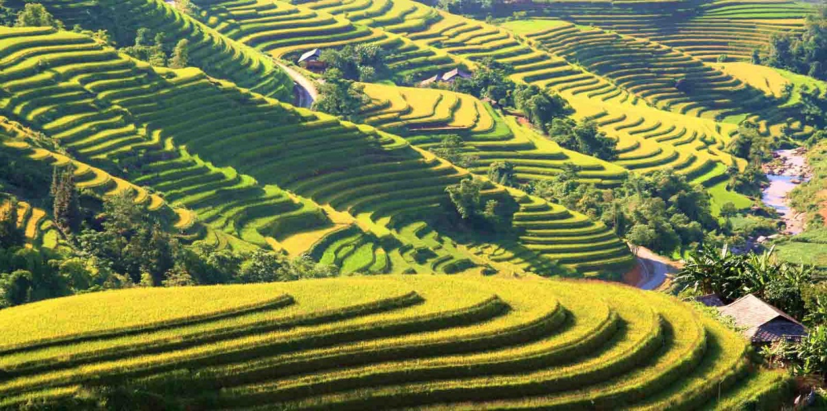 Watching terraced fields in Hoang Su Phi, Ha Giang in this season !