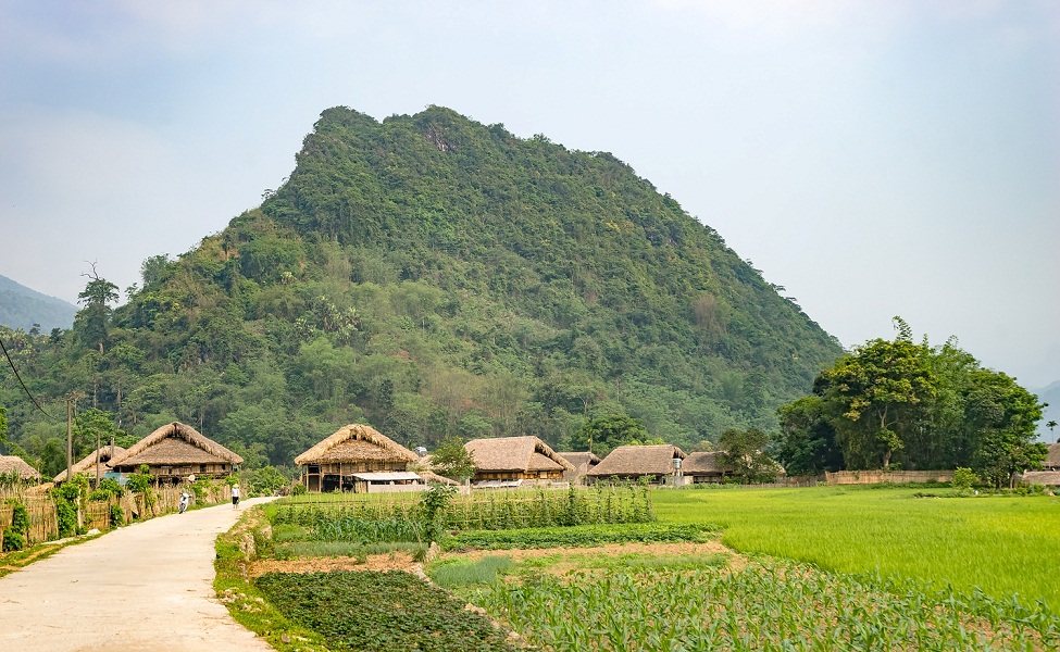 Tha Hamlet Homestay in Ha Giang with peaceful beauty of mountain highland area