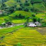 The reasons you should have one night at homestay in Sapa