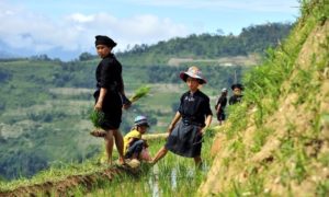 Useful tips for an adventure to northwest Vietnam