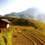 Visit fantastic terrace rice fields in Mu Cang Chai in October
