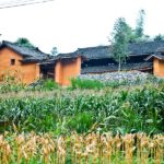 Beautiful homestays in Ha Giang province