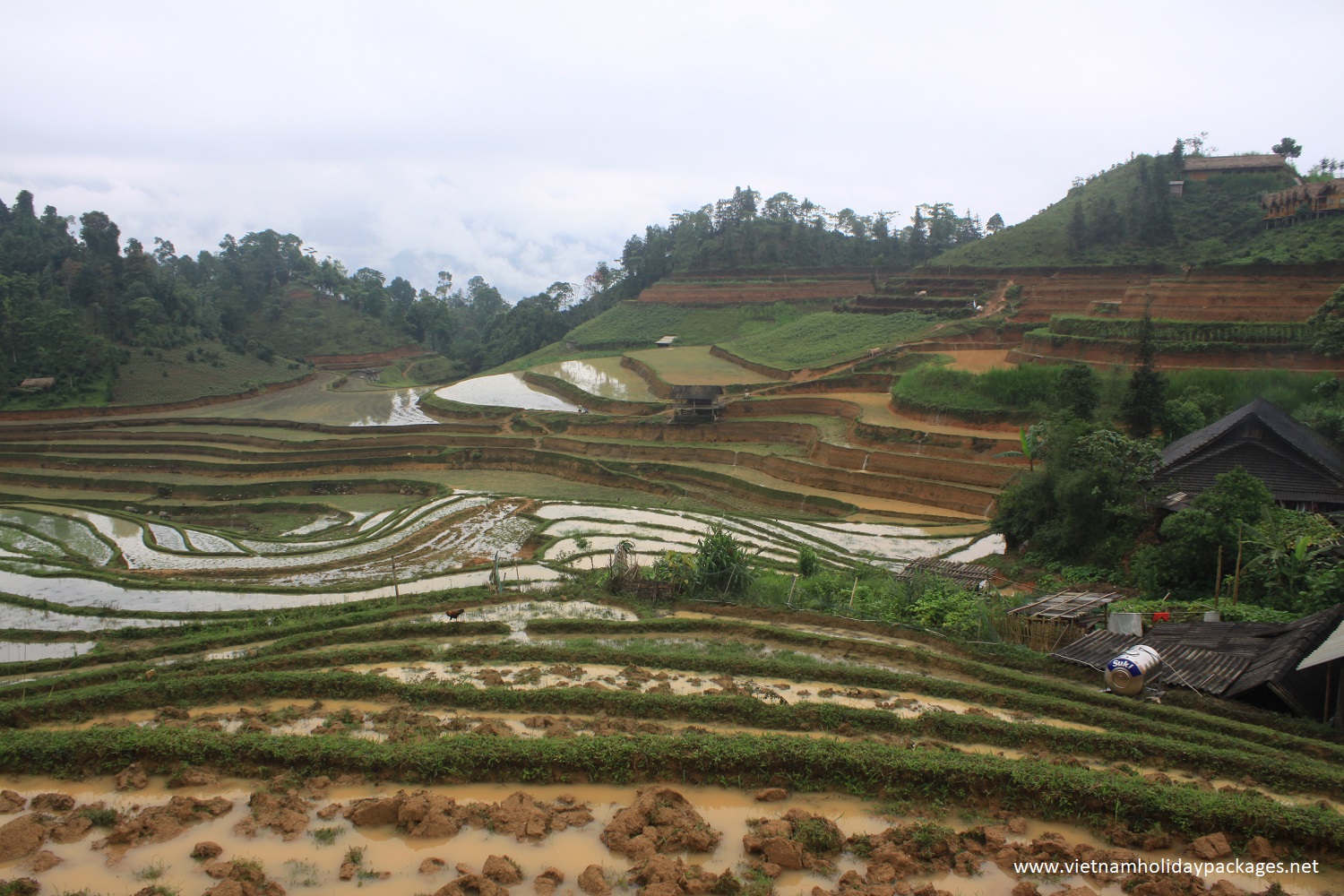 Holiday in Ha Giang - Ha Giang Tours