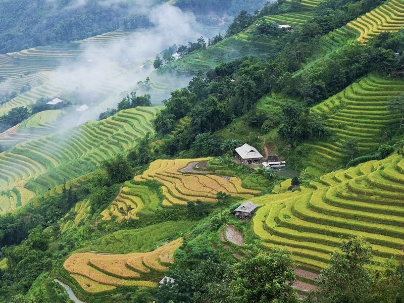 Muong Hoa Valley - Sapa